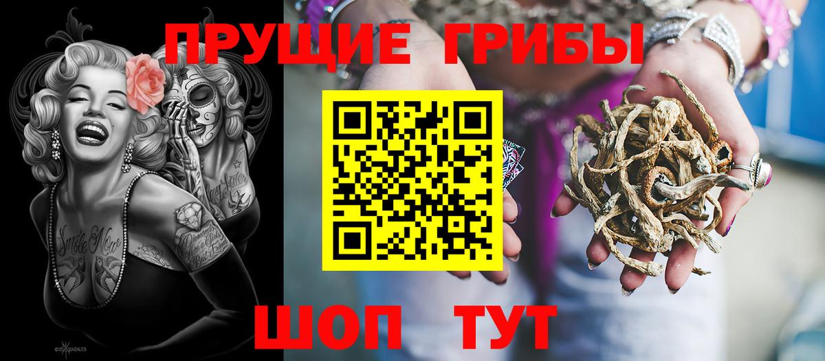 Псилоцибиновые грибы мицелий Кириши
