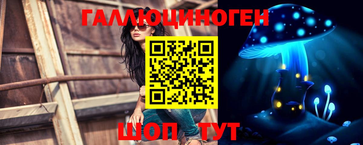 Кириши  Галлюциногенные грибы прущие грибы  Вход с VPN 